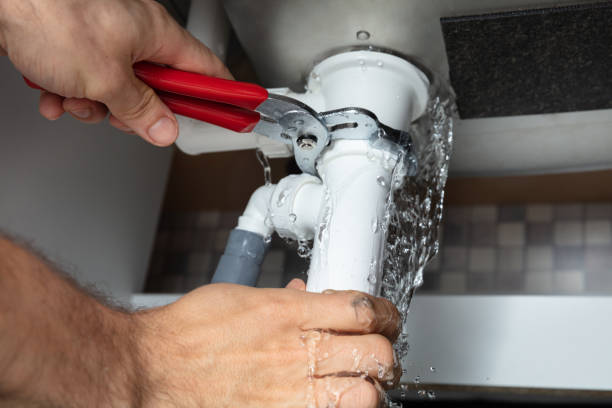 Best Basement water damage restoration  in Gotha, FL