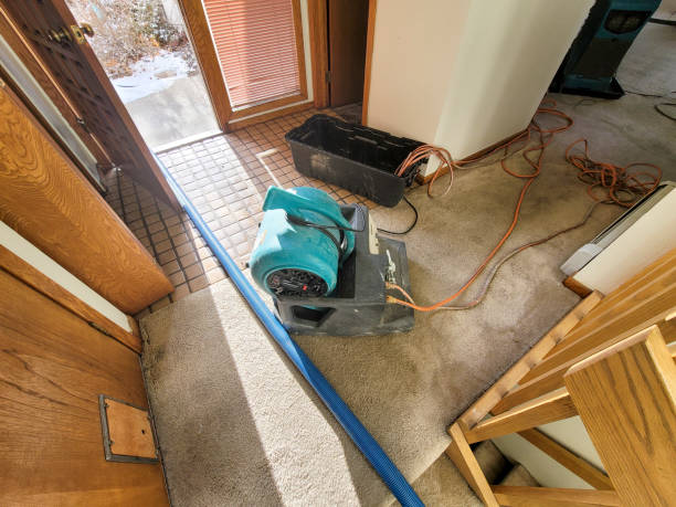 Best Water damage restoration services  in Gotha, FL