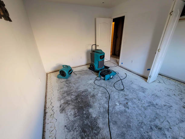  Gotha, FL Water damage restoration Pros