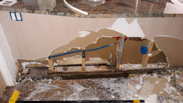 Best Residential water damage restoration  in Gotha, FL