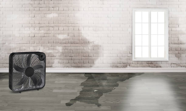 Best 24-hour water damage restoration  in Gotha, FL