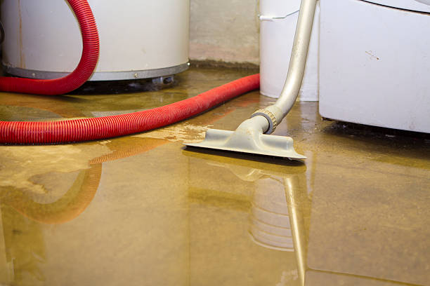Reliable FL Water damage restoration Solutions