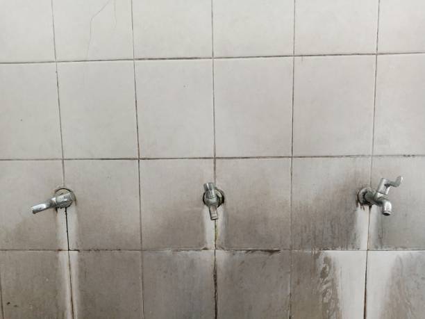Best Carpet water damage restoration  in Gotha, FL