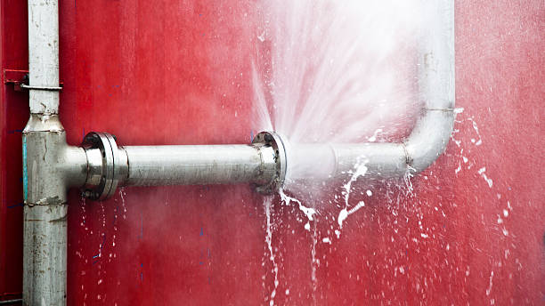 Best Commercial water damage restoration  in Gotha, FL
